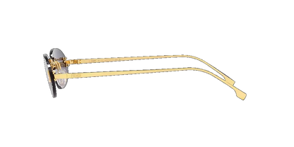 Fe407